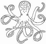 Octopus Outline Clipart Clip Clipground Coloring sketch template