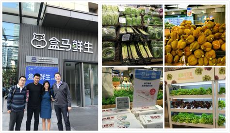 amazon   foods  learn  china field notes  chinas retail revolution