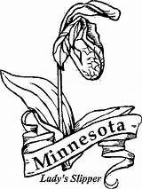 Coloring Minnesota Pages State Wild Flowers Flower Kids Color Sheets Printable Getcolorings Flag Getdrawings Choose Board sketch template
