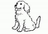 Sheepdog Collie Dog Ages Puppy Designlooter sketch template
