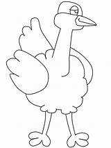 Coloring Pages Rhea Birds Animals Ostrich Clipart Cartoon Printable Coloringpagebook Library Advertisement sketch template