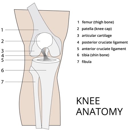 knee preservation baltimore md towson orthopaedics