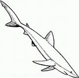 Bestcoloringpagesforkids Sharks sketch template