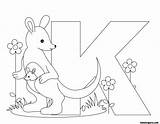 Alphabet Printable Kangaroo Animal Coloring Letter Pages Kids Print Worksheets Google Colouring sketch template