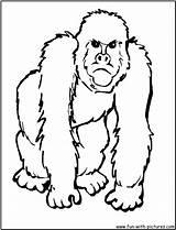 Coloring Pages Gorilla Animal Zoo Clipart Animals Templates African Printable Ape Big Clip Five Printables Face Color Sheets Kids Cliparts sketch template