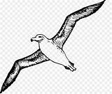 Albatross Pub sketch template