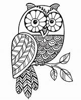 Zentangle Mandalas Stampendous Owls Buhos Buho Doodles Lechuza Cling Vendido Franticstamper sketch template