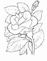 Rose Coloring Pages Flower sketch template