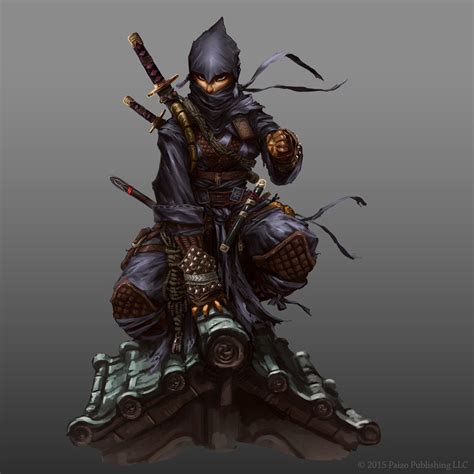 Pzo00 By Operion Paizo Female Thief Ninja Assassin Fighter Rogue Armor