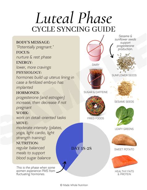 cycle syncing guides handout bundle functional health research edge dev  collections
