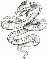 Mamba Coloring Pages Snake Getcolorings Color sketch template