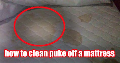 clean puke   mattress sleepingvibe