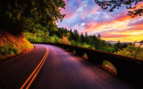 beautiful sunset scenery forest trees road clouds
