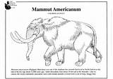 Coloring Mammoth American Pages Printable sketch template