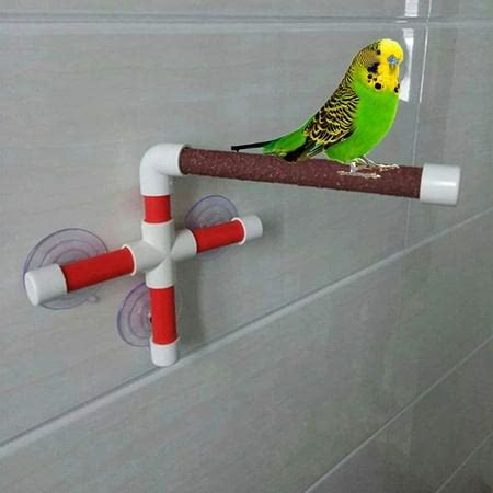 aidm parrot bird canary bath unique toy accessories parrot bath shower stands walmart canada