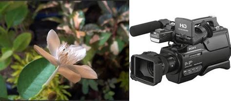 camera camcorder sony hxr mc2500 review update