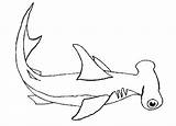 Shark Lemon Coloring Template sketch template