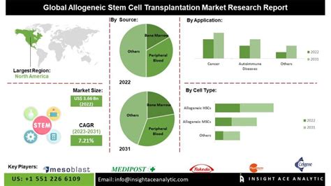 allogeneic stem cell transplantation market size share