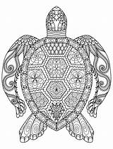 Adult Pages Coloring Completed Getcolorings Mandala Animal sketch template