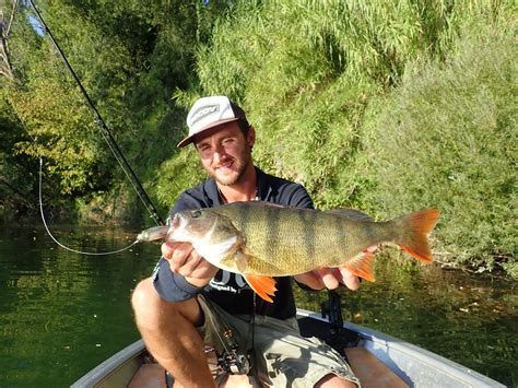 peche aux leurres durs une belle journee dautomne en riviere ultimate fishing