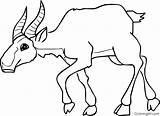 Saiga Antelope sketch template
