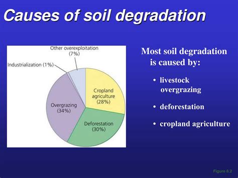 chapter  food soil resources powerpoint  id