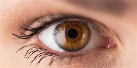 having brown eyes makes you more likely to suffer from
