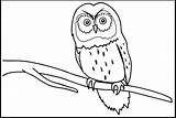 Burung Sketsa Hantu Mewarnai Anak Hewan Kolase Tk Paud Marimewarnai Merpati Kakak Elang Pelajarindo Lh5 Garuda Merak Tua Acuan Menggambar sketch template