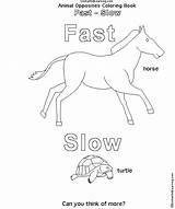 Fast Opposites Preschoolers Enchantedlearning sketch template