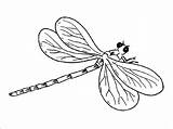 Damselfly Coloring Kids Pages Coloringbay sketch template