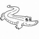 Alligator Coloring Pages Printable Books sketch template