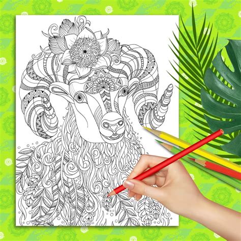 goat coloring page  adults printable coloring page etsy