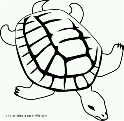 turtle turtle coloring pages coloring pages animal coloring pages