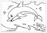 Dolfijn Kleurplaat Delfino Disegno Delfin Colorear Malvorlage Golfinhos Dauphin Delfines Golfinho Dolfijnen Zum Ausmalbild Desenho Kleurplaten Stampare Tonina Dolphin sketch template