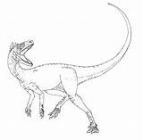 Pages Albertosaurus Rocks Liopleurodon Olphreunion sketch template