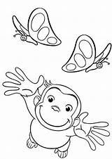 Affe Curioso Colorare Ausmalbilder Neugierige Stimulate Malvorlagen Affen Disegno Tulamama Neugierig Ausdrucken sketch template