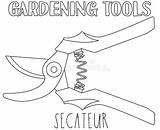 Secateur Shears Illustration Pruning Line sketch template