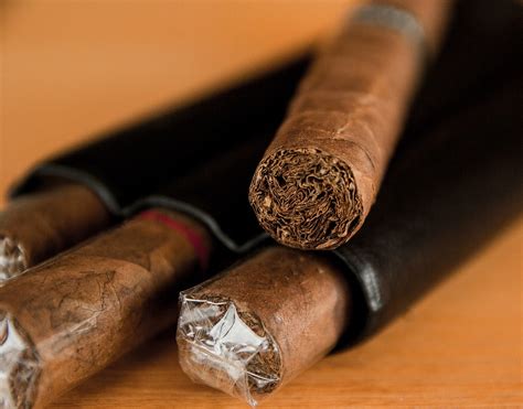 recognize  quality cigar cigar stud