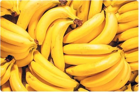Bananeros Latinoamericanos Alertan De La Bajada De Precios En El