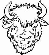 Buffalo Bison Clipart Head Clip Face Yak Coloring Pages Drawing Cheetah Template Wildlife Clipartmag sketch template