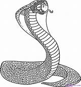 Cobra Coloring Pages Spitting Getcolorings Printable King sketch template