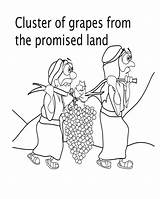 Joshua Caleb Spies Promised Grapes Canaan Craft Iknow Colouring Twelve sketch template