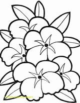 Coloring Pages Sewing Simple Getcolorings sketch template