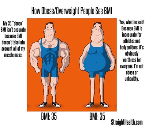 Fat Protein Carb S Bmi