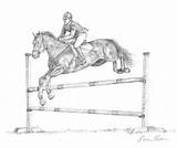 Drawing Jump Loren Ullom Main Horse Drawings Paintingvalley 21st Uploaded April Which sketch template