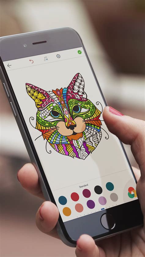 cat coloring pages  adults  iphone