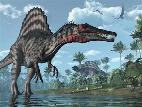 Largest Dinosaur Predator Was A Water Loving Quadruped Philly
