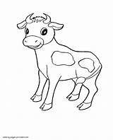 Coloring Animals Preschool Pages Cow Preschoolers Printable Toddlers Cows Print sketch template