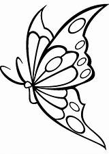 Mariposas Schmetterling Imágenes sketch template