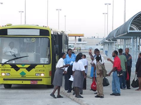 jamaica urban transit company limited kingston 2020 all you need to